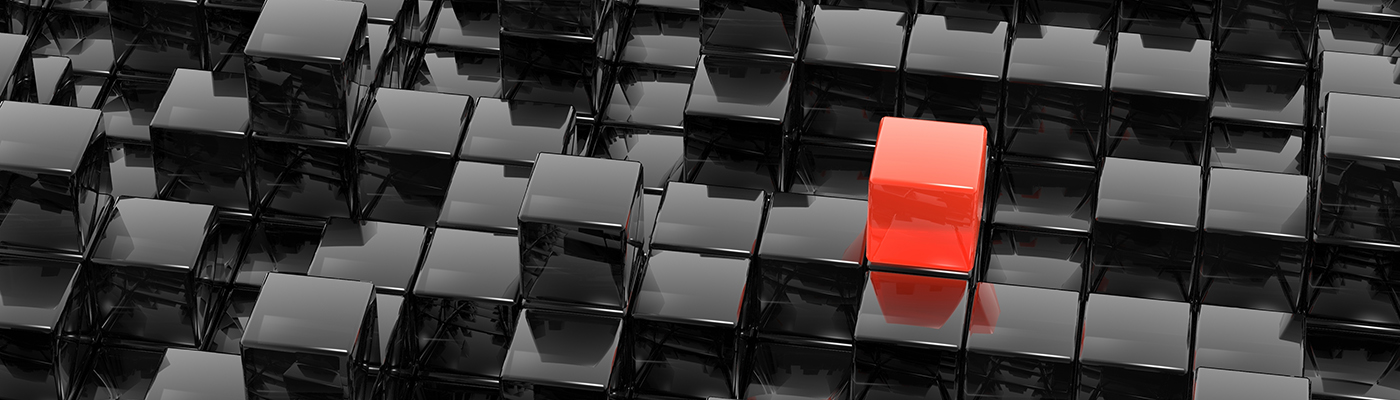 #slidecaption2 SERVICES